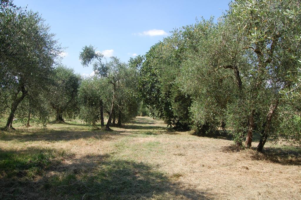 La Spiga D'Oro Vendégház Pozzo Kültér fotó