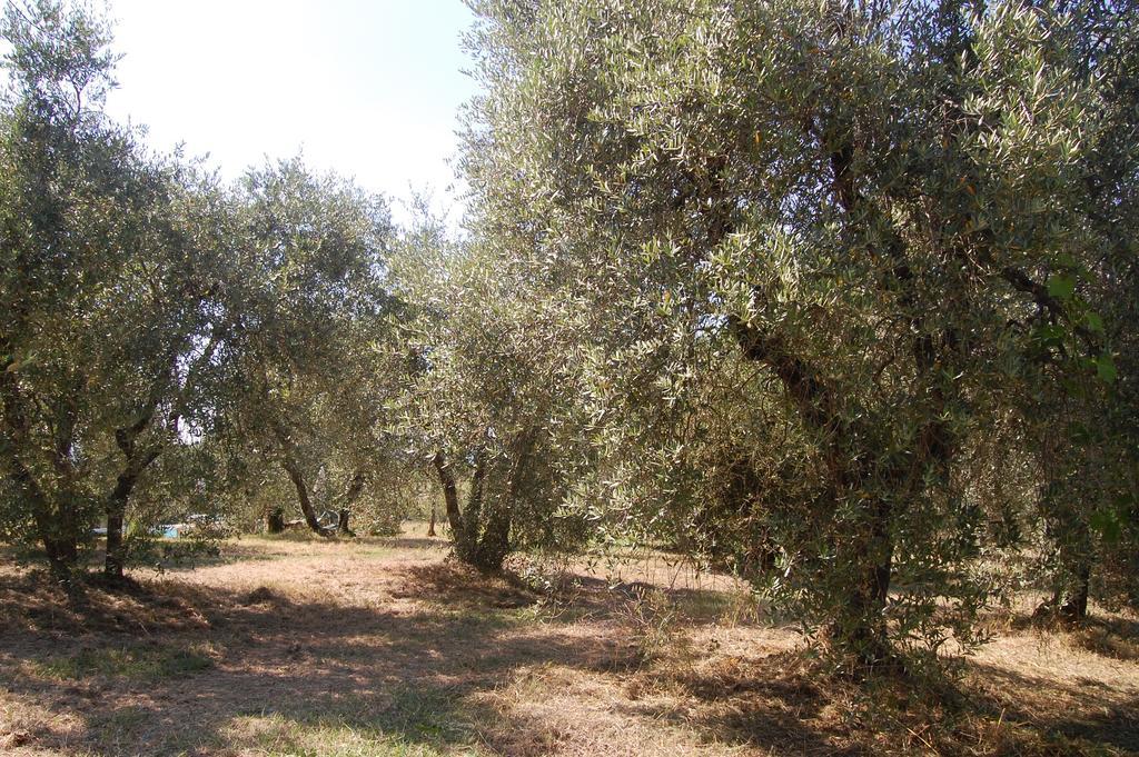 La Spiga D'Oro Vendégház Pozzo Kültér fotó
